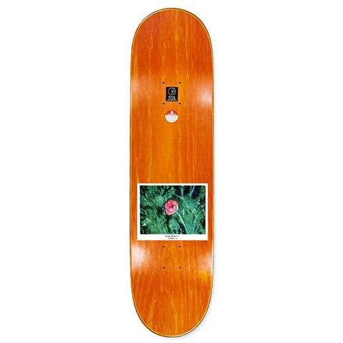 Tavola skate Nick Boserio Amaryllis Wheel Wells 8.5