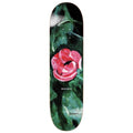 Polar Tavola skateboard Tavola skate Nick Boserio Amaryllis