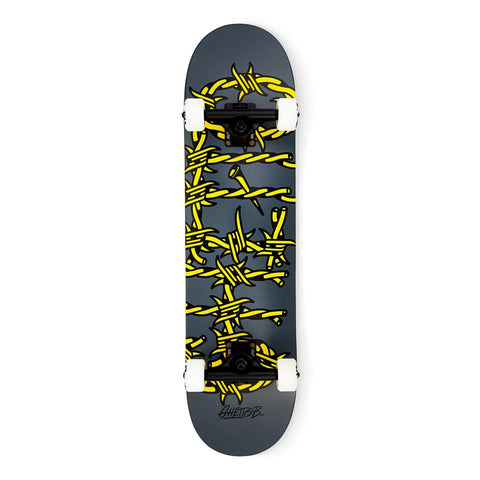 Skate per principianti Barbed Wire Grey 7.875