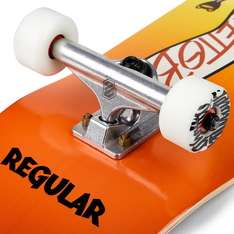 Skate per principianti Push Regular 8.0