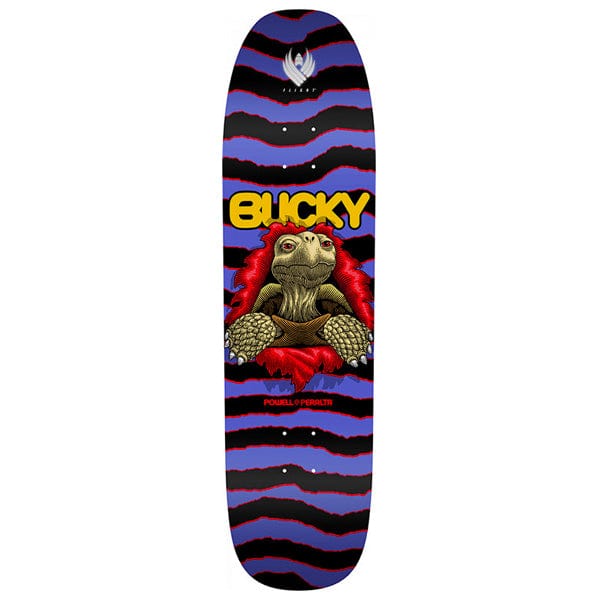 Powell Peralta Tavola skateboard Tavola skate Bucky Lasek Tortoise Flight Blue 8.625" Downtown